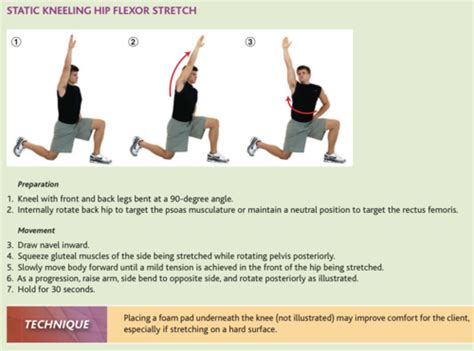 Flexibility Exercises Flashcards Quizlet