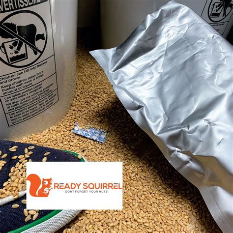 Wheat Storage Long Term Survival Food Ready Squirrel Wheat Long
