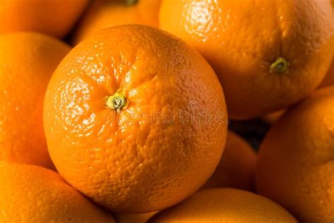 Raw Organic Fresh Oranges Stock Image Image Of Leaf 178221505