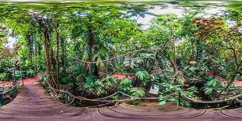 111 likes · 20 talking about this · 42 were here. Botanischer Garten Marburg - Gewächshäuser - Botanischer ...