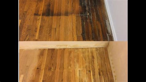 Remove Dark Urine Stains From Hardwood Floors Floor Roma