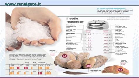 Insufficienza renale acuta e insufficienza renale cronica. La nutrizione nella insufficienza renale - Quintaliani ...