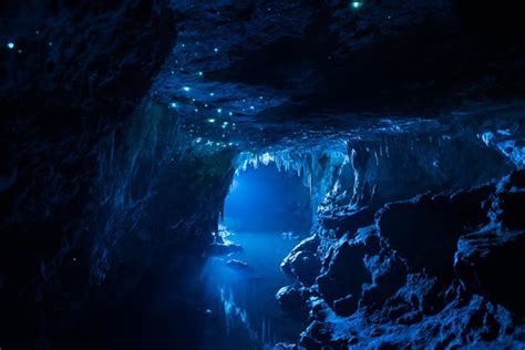 Photographer Captures Stunning Images Of Bioluminescent Glowworms In