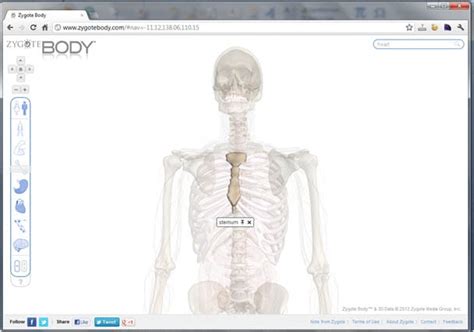 Zygote Body Review Free 3d Human Anatomy App Builtlean