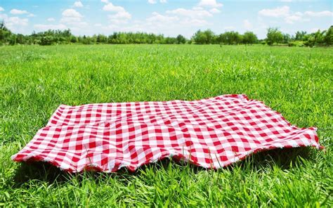 Picnic Wallpapers Top Free Picnic Backgrounds Wallpaperaccess