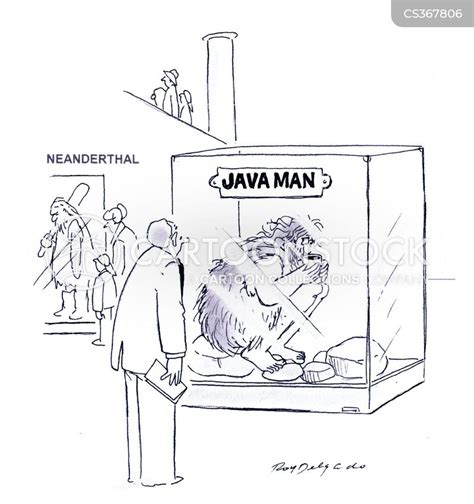 Java Cartoons And Comics Funny Pictures From Cartoonstock