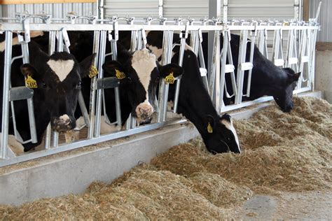 Farm Bureau Is A Partner On The Path Toward Federal Milk Marketing
