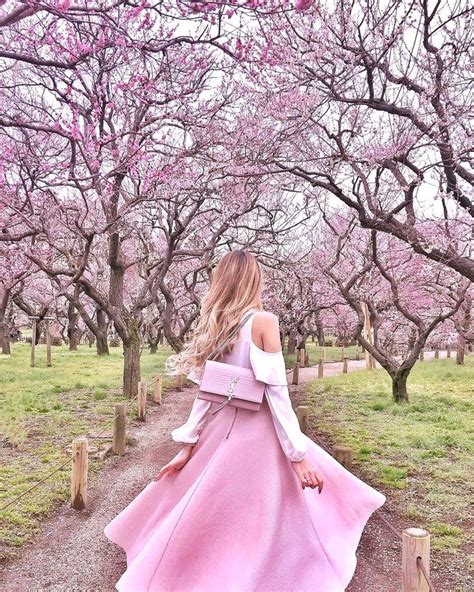 Lily On Instagram Twirling Under The Plumblossoms Springflowers Springfashion