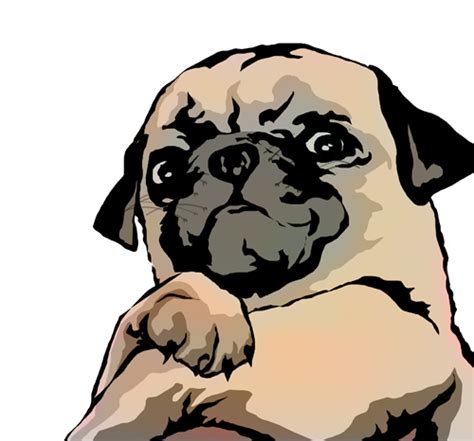 Self Assured Pug The New Mascot Of Applied Interactive Seo Click For