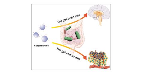Implications Of The Human Gutbrain And Gutcancer Axes For Future