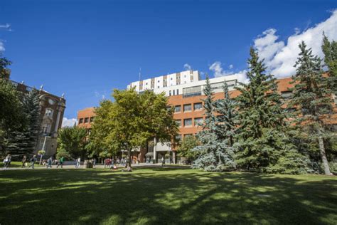 University Of Alberta School Of Business University Of Alberta School