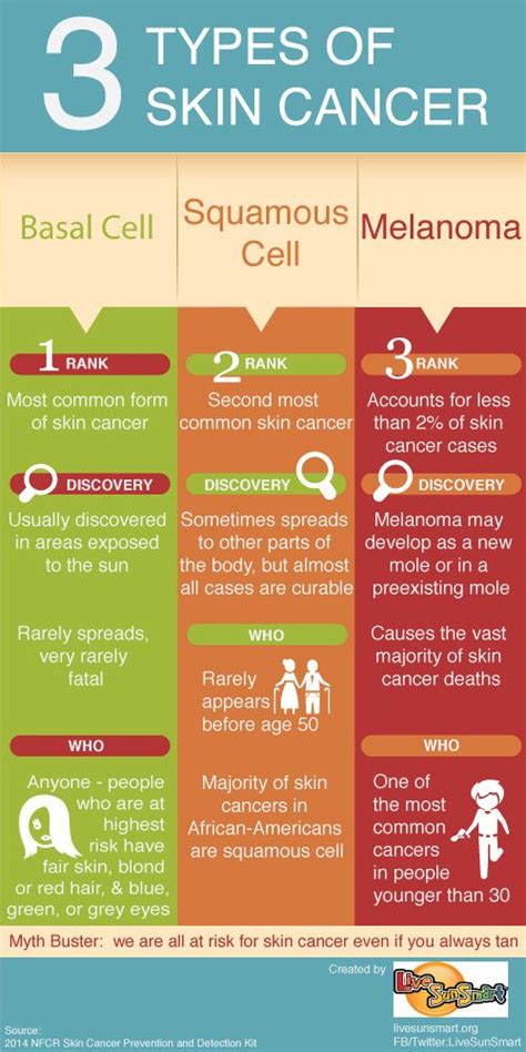 A family history of skin cancer. The 3 Types of Skin Cancer infographic