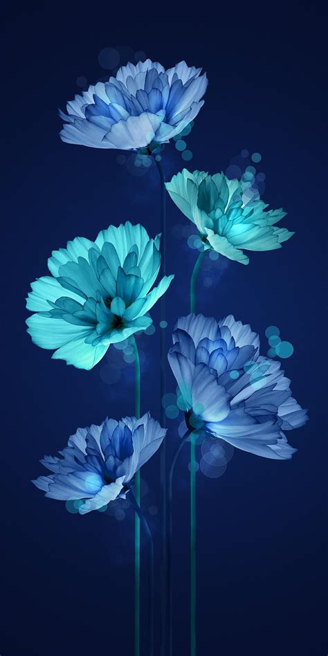 Blue Iphone Flowers Wallpaper Hd Download Free Mock Up