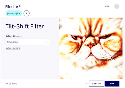 Filestar Tilt Shift Sgi Filter