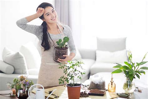 How To Keep Houseplants Healthy And Happy