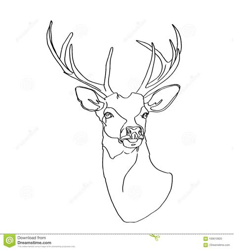 How To Draw A Deer Head