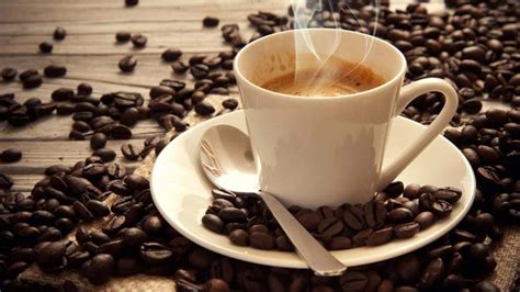 Café En Grano Propiedades Y Beneficios Consejo Al Día
