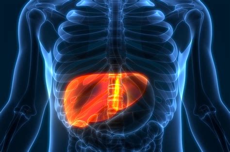 9 Silent Signs Of Liver Cancer You Shouldnt Ignore The Healthy