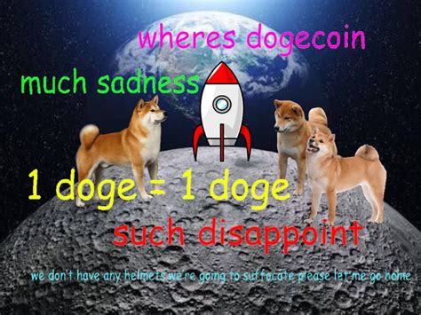 The site where you find awesome viral songs, parodies and all around funny content. 3 brave doge goes to the moon to check if dogecoin has reached there : dogecoin
