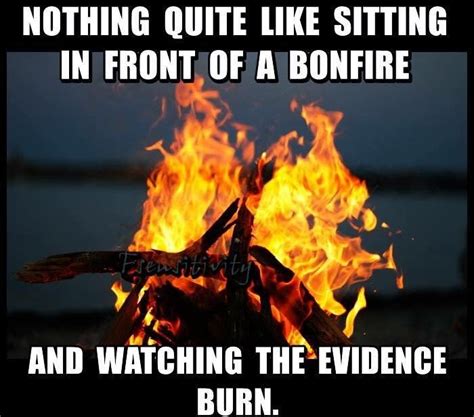 Nothing Quite Like Sitting In Front Of A Bonfire Meme With Images