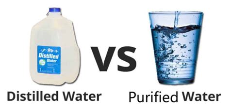 Difference Between Distilled Water Vs Purified Water