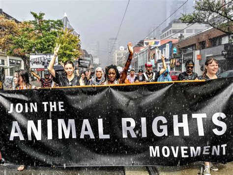 Animal Rights Activists And Activism The Phoenix