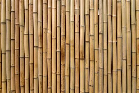 20 Beautiful And Free Bamboo Textures Utemplates