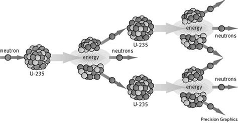 This causes the rate of fission to rapidly increase. Fission | Define Fission at Dictionary.com