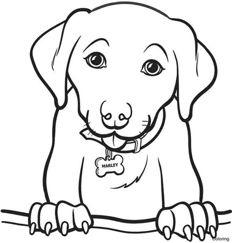 Simple Dog Coloring Pages at GetColorings.com | Free printable