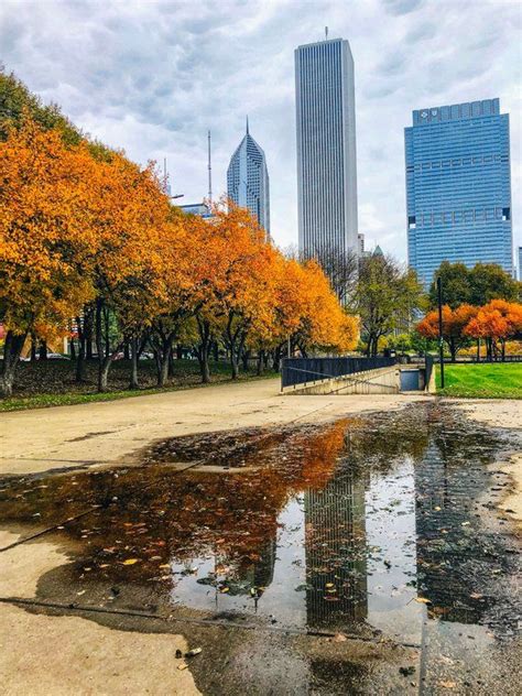 Chicago Photography Autumn Photography City Photography Etsy