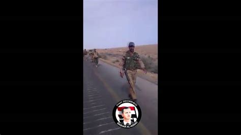 Syria Syrian Arab Army Navy Sealssea Commandos And Desert Hawks