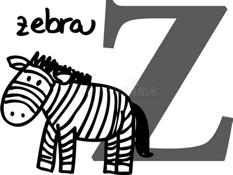 Animal Alphabet Z Zebra Stock Vector Illustration Of Letter 7608088