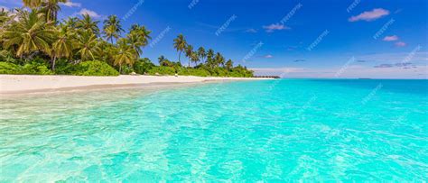 Premium Photo | Beach nature palm sea sand beach in tropical idyllic