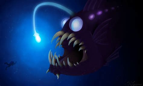 The Lure Of An Angler Fish By Viridianroses On Deviantart