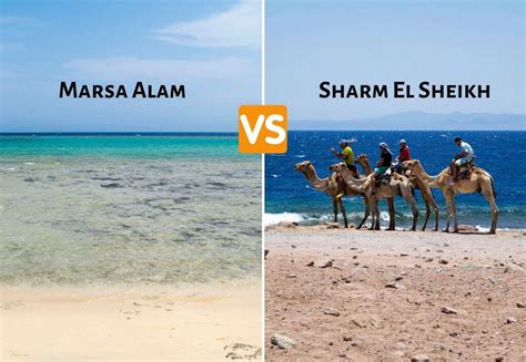 Vacanze In Egitto Marsa Alam O Sharm El Sheikh TravelliAMO