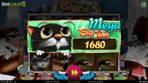 Colin The Cat Try Demo Slot 🥇 Game Review