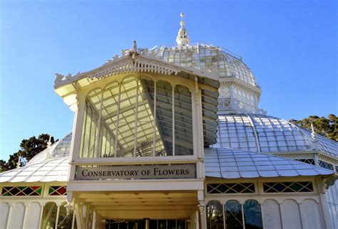 The conservatory of flowers is a greenhouse and botanical garden that houses a collection of rare and exotic plants in golden gate park, san. danger garden: Our evening at the San Francisco ...