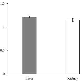 Liver Type Fatty Acid Binding Protein L Fabp Mrna Transcription