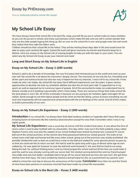 My School Life Essay Essay Writing Examples Essay About Life Memories Essay