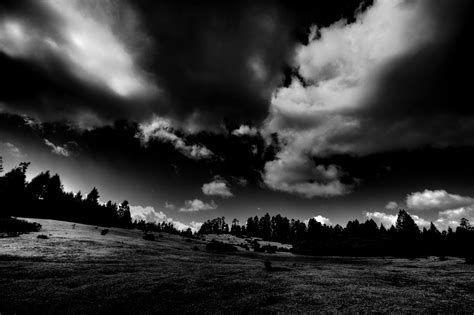 High Contrast Black And White Nature Photography