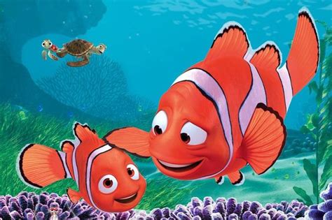 Finding Nemo | Cultjer