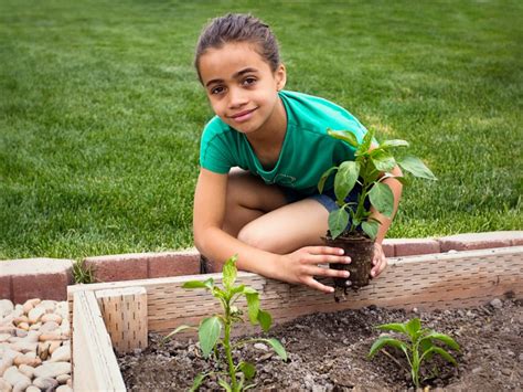 Veggie Gardens For Kids Making A Childrens Vegetable Garden