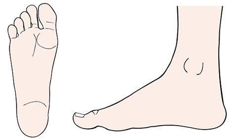 Sole Of The Foot Clipart 20 Free Cliparts Download Images On