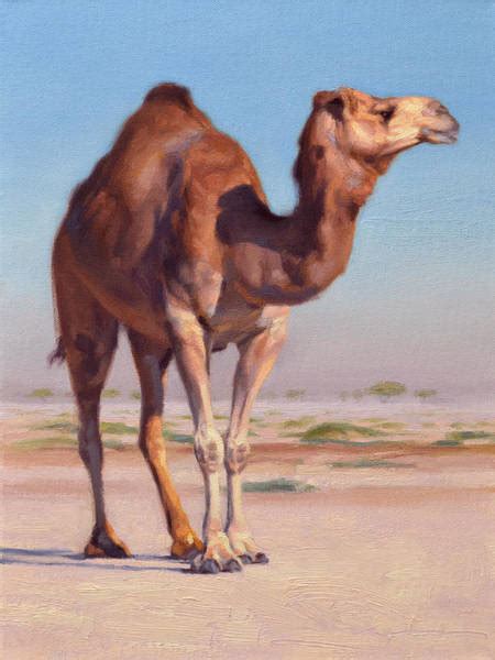 Camel Paintings For Sale Fine Art America