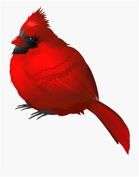 Cartoon Cardinal Clip Art