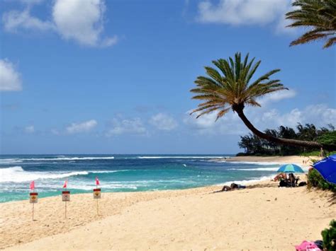Sunset Beach Book Oahu Tours Activities And Things To Do With