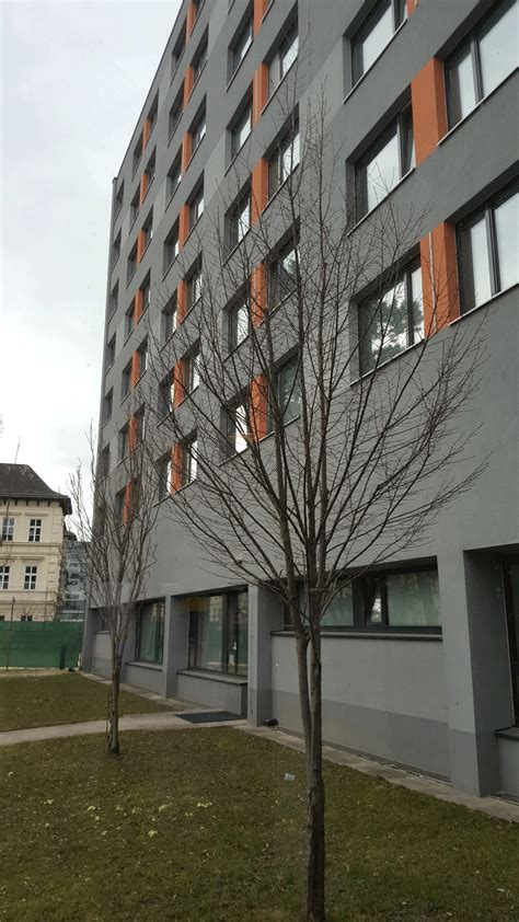 Internationales studentenheim diente zur unterbringung der teilnehmer der. BASE 19 - Haus Döbling Studentenheim | UNIMAG