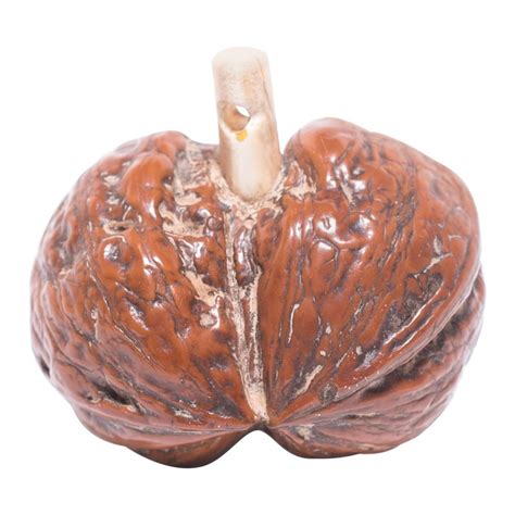 Japanese carved figurines, called netsuke, weren't just cool works of art — they served a practical purpose as wardrobe accessories. Japanese Gourd-Form Walnut Netsuke Charm For Sale at 1stdibs