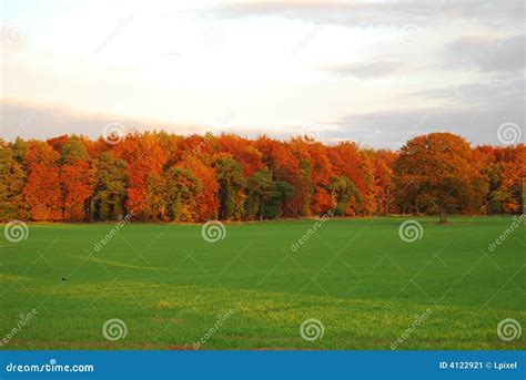Autumn Forest Edge Stock Image Image Of Trees Forest 4122921