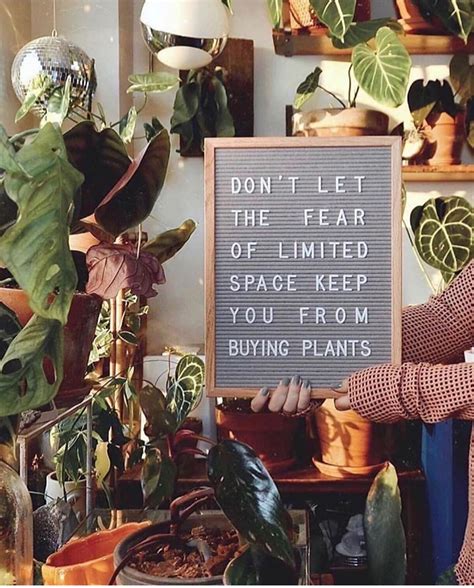 28 Funny Memes For Plant Lovers Artofit
